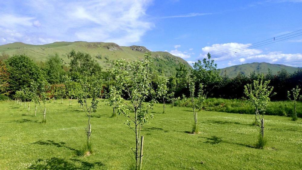 Вілла Balcraig House Maybole Екстер'єр фото